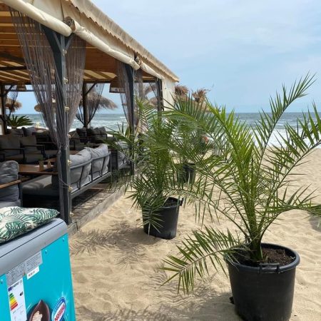 Obzor_beach_bar