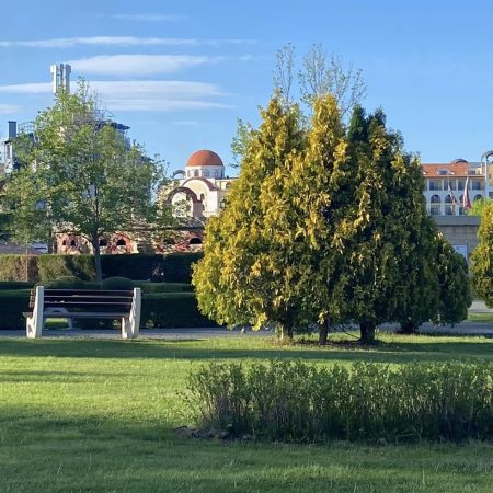 park-photo
